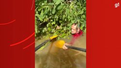 bombeiros-de-maringa-resgatam-idoso-que-estava-agarrado-em-arvore-durante-enchente-no-rio-grande-do-sul:-video