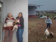 familia-voltava-para-a-venezuela-junto-com-cachorrinha-em-aviao-que-caiu;-video-mostra-crianca-brincando-com-o-animal-horas-antes-da-viagem