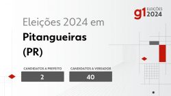 eleicoes-2024-em-pitangueiras-(pr):-veja-os-candidatos-a-prefeito-e-a-vereador