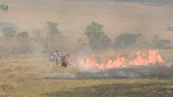 populacao-ajuda-a-combater-incendio-em-vegetacao-de-area-rural-do-parana;-imagens