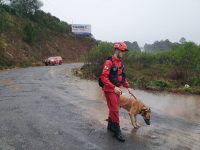 bombeiros-usam-caes-farejadores-nas-buscas-por-assistente-social-desaparecido-ha-uma-semana-no-parana