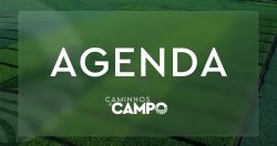 agenda-do-campo-da-semana-conta-com-workshop-e-caminhadas-na-natureza