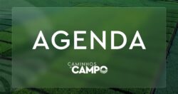 agenda-do-campo-da-semana-tem-feira-da-agroindustria,-palestras-e-caminhadas-na-natureza