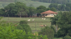 populacao-rural-cai-17%-em-12-anos-no-parana