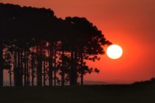 apos-dias-intensos-de-chuva,-veja-quando-o-sol-volta-a-aparecer-nas-principais-cidades-do-parana