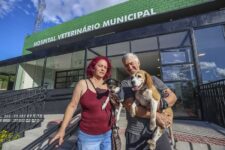 hospital-veterinario-curitiba:-quem-pode-usar?-quais-servicos-sao-ofertados?-veja-perguntas-e-respostas