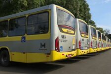 homens-invadem-garagem-e-furtam-modulos-de-21-onibus-do-transporte-publico-intermunicipal-de-londrina