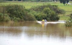 pesca-em-corredeiras-e-saltos-de-rios-do-parana-e-proibida-por-prazo-indeterminado;-veja-locais-afetados