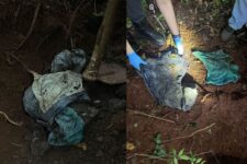 mulher-e-suspeita-de-encomendar-a-morte-do-marido-e-depois-registrar-desaparecimento-dele-no-parana,-segundo-a-policia